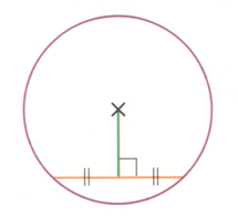 Graph 5